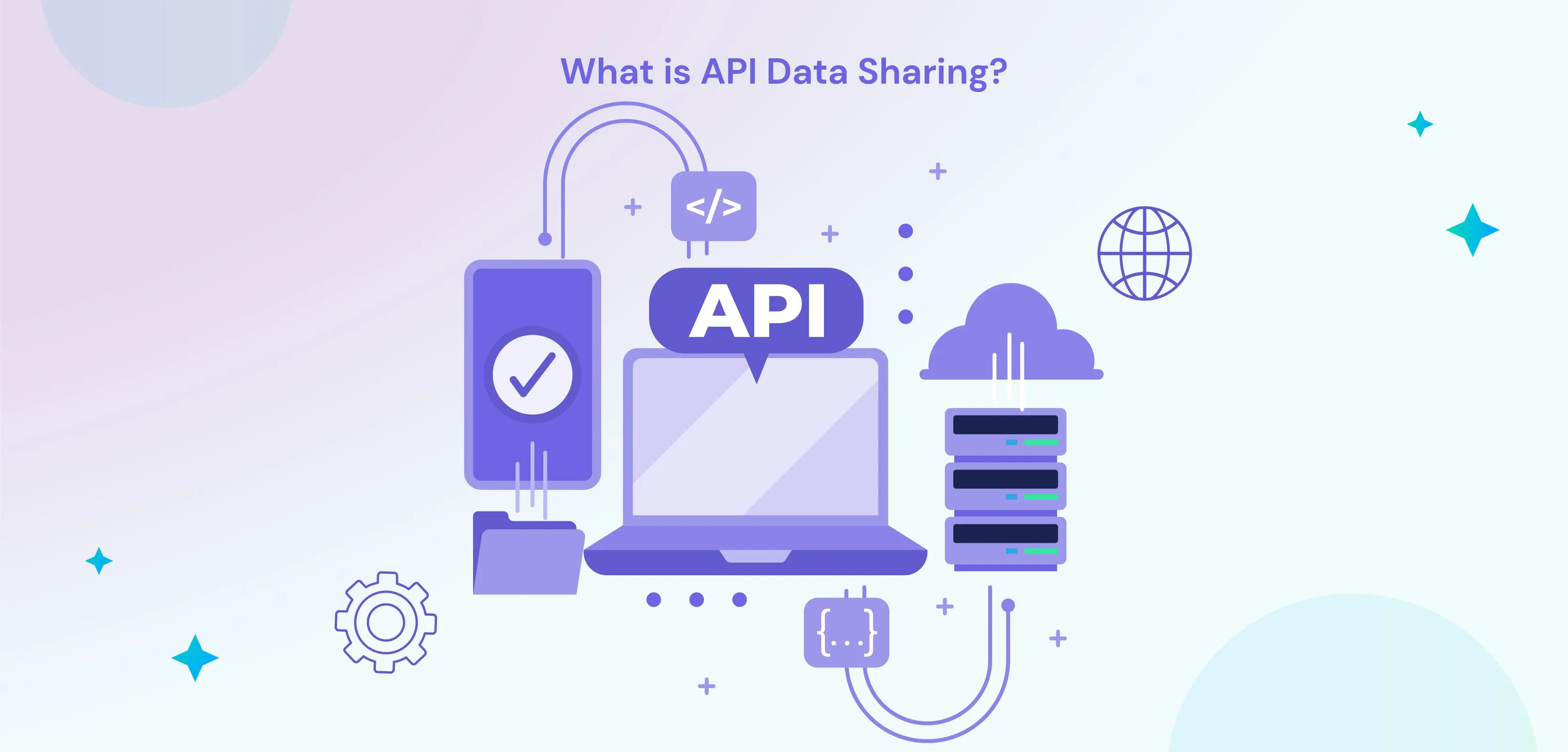 What is API Data Sharing?