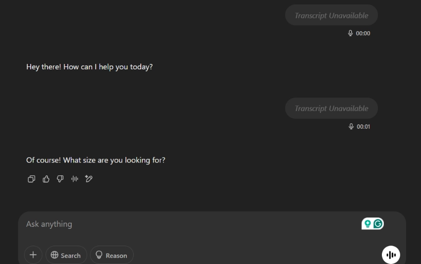 the transcript of the conversation in your chat