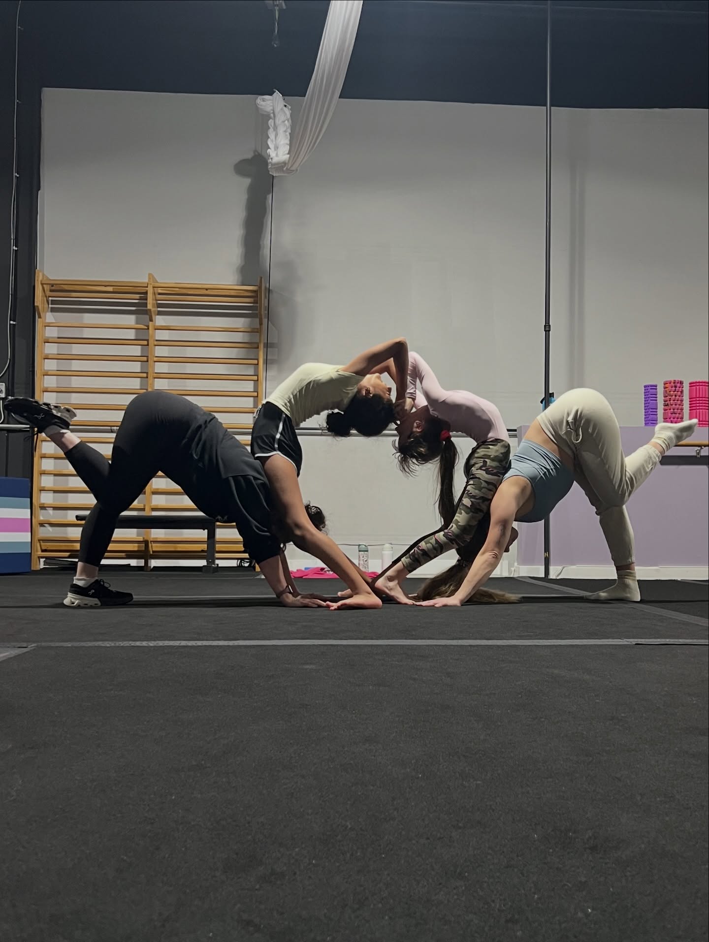 dynamic.aerial.and.acrobatics_image 4.jpg
