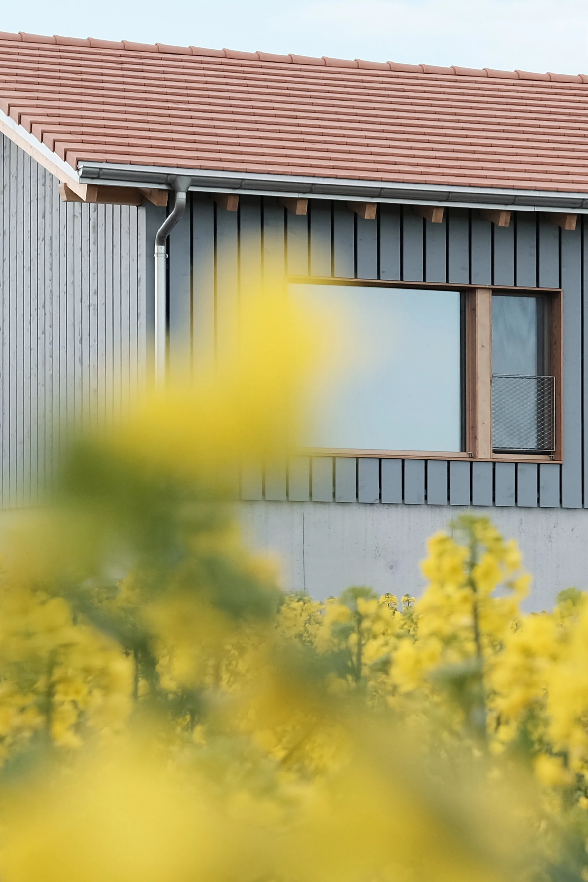 Zoom sur la façade du projet d'une villa familiale réalisé par Noue Studio