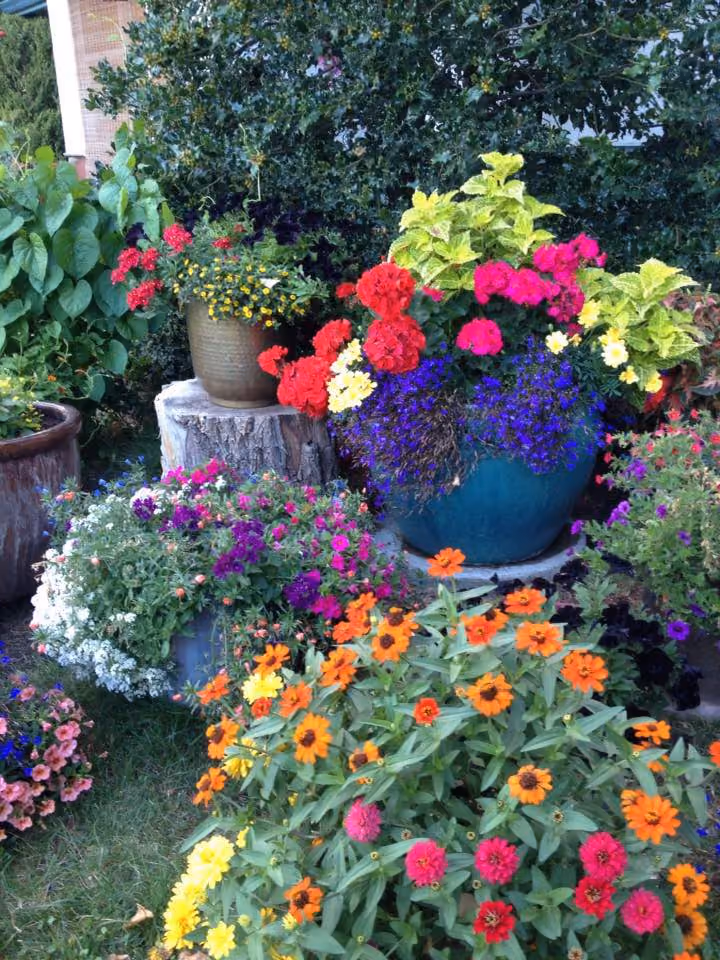 Windmill Garden Centre