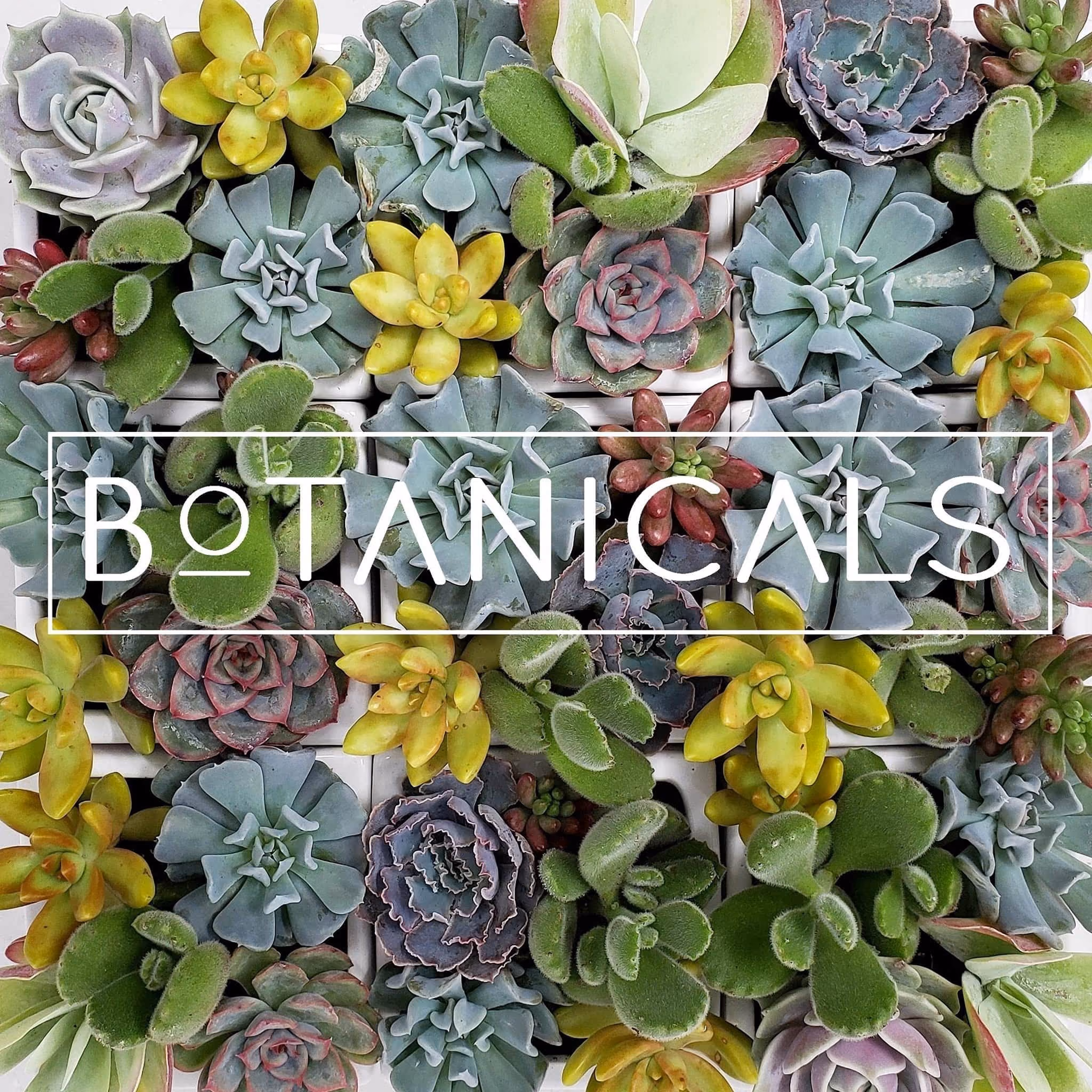 Botanicals