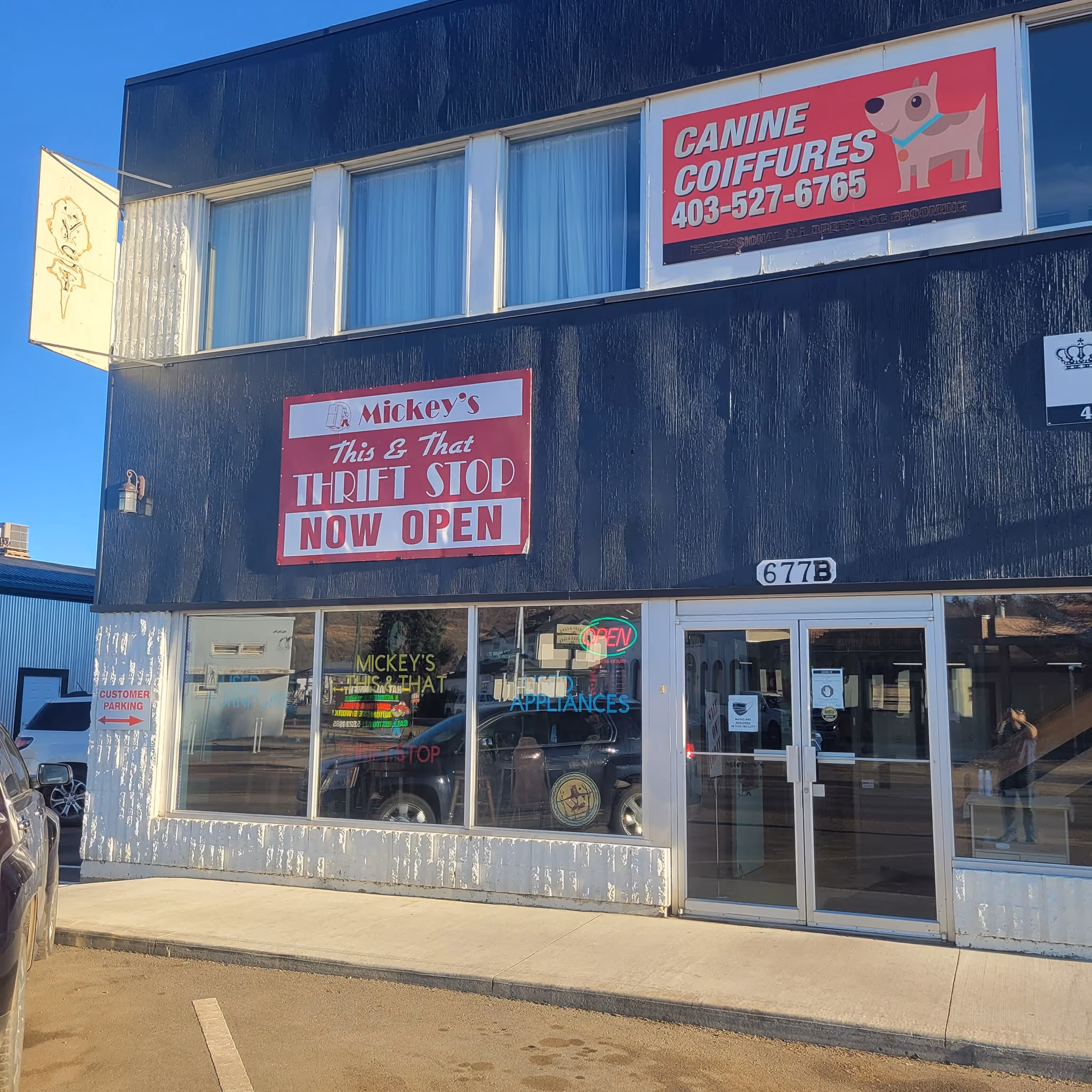 Mickey's This & That Thrift Stop