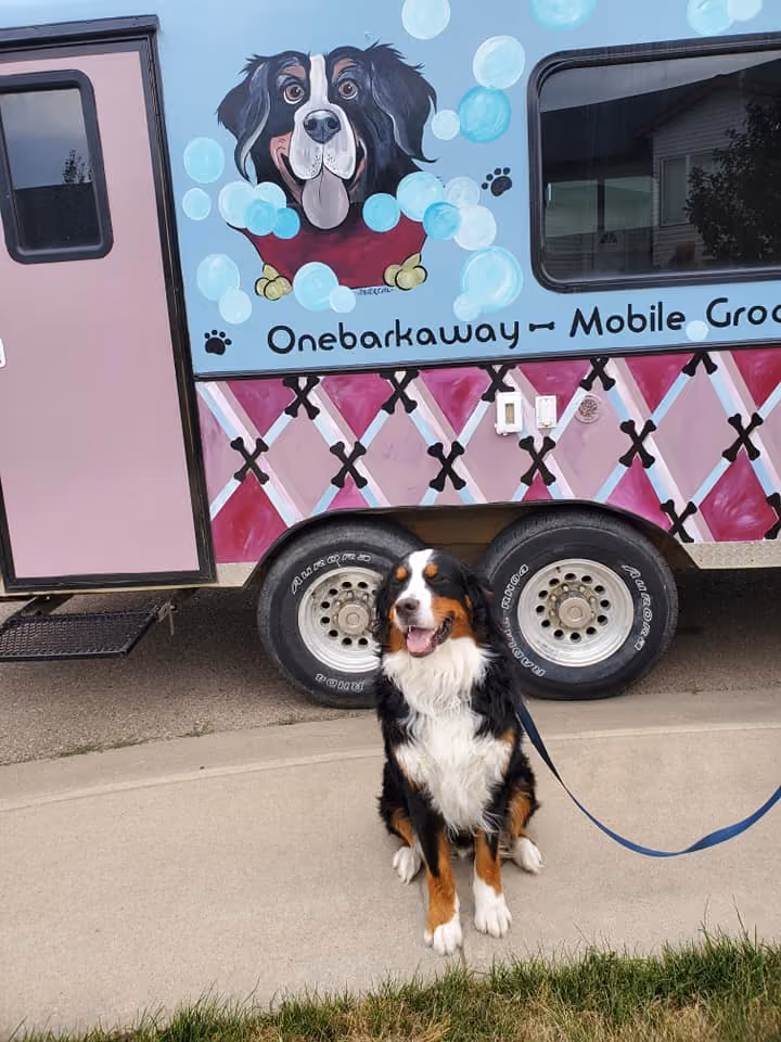 Onebarkaway Mobile Grooming