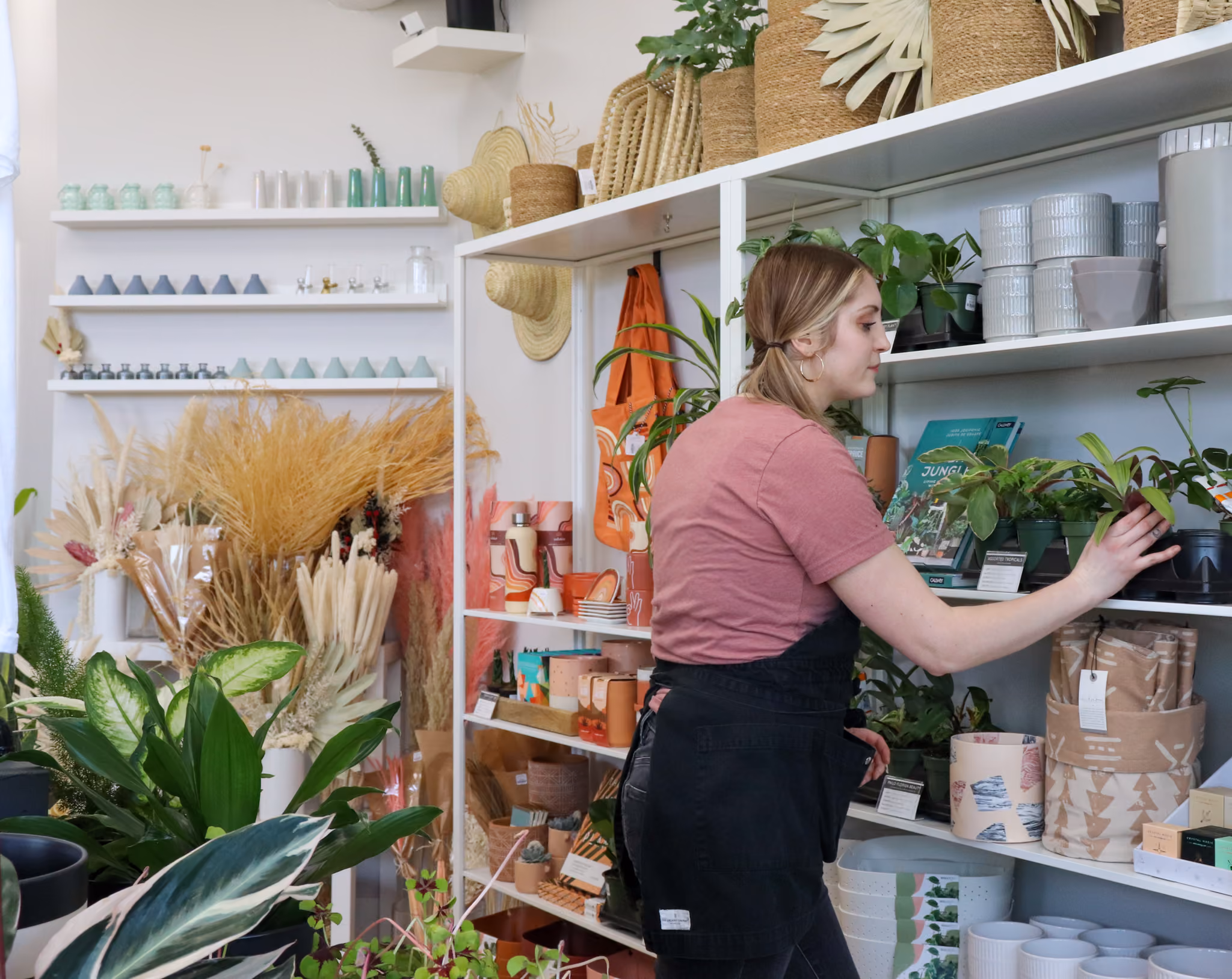 Plant Shops in Medicine Hat