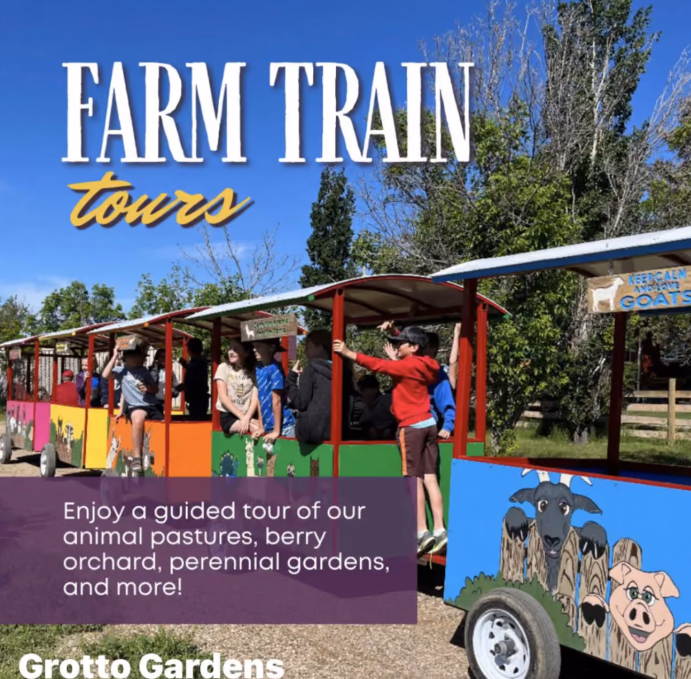Autumn Road Trips from Medicine Hat