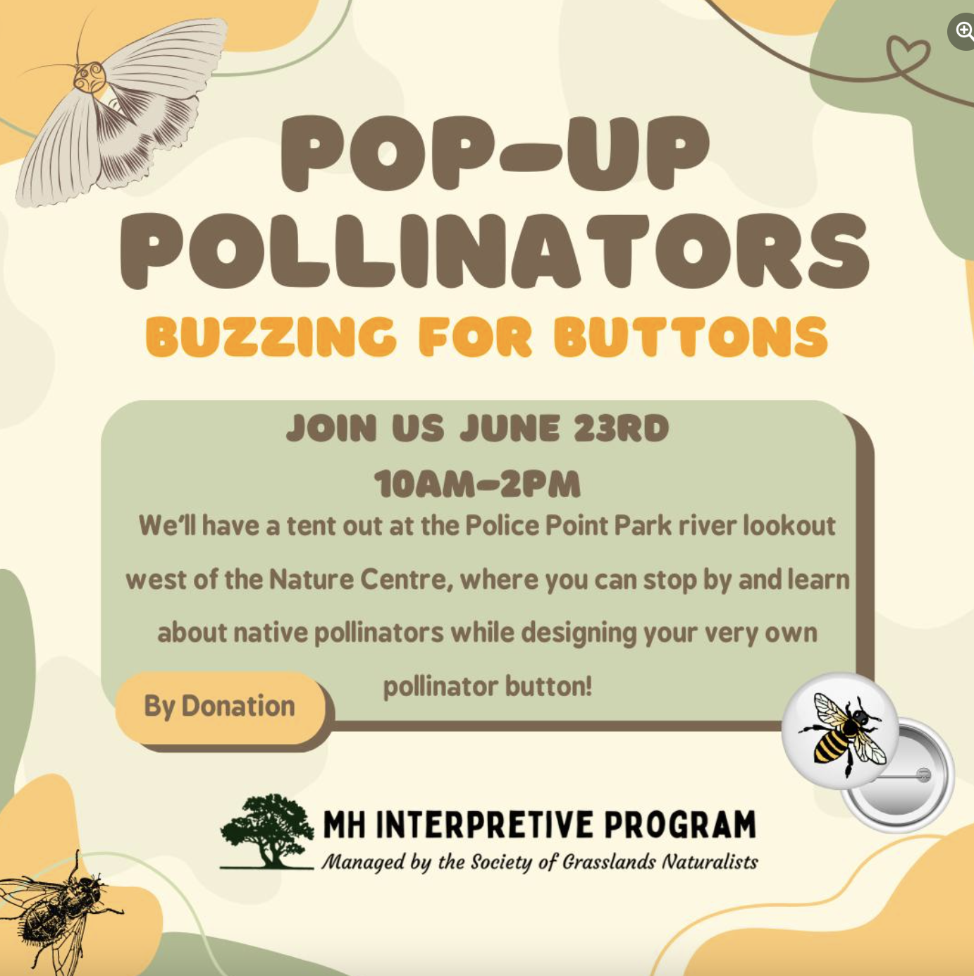 Pop-Up Pollinators program, Buzzing for Buttons!