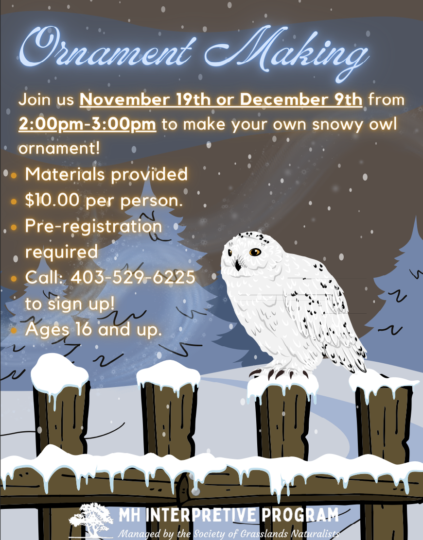 Stitch Along-Ornament Making-Workshop