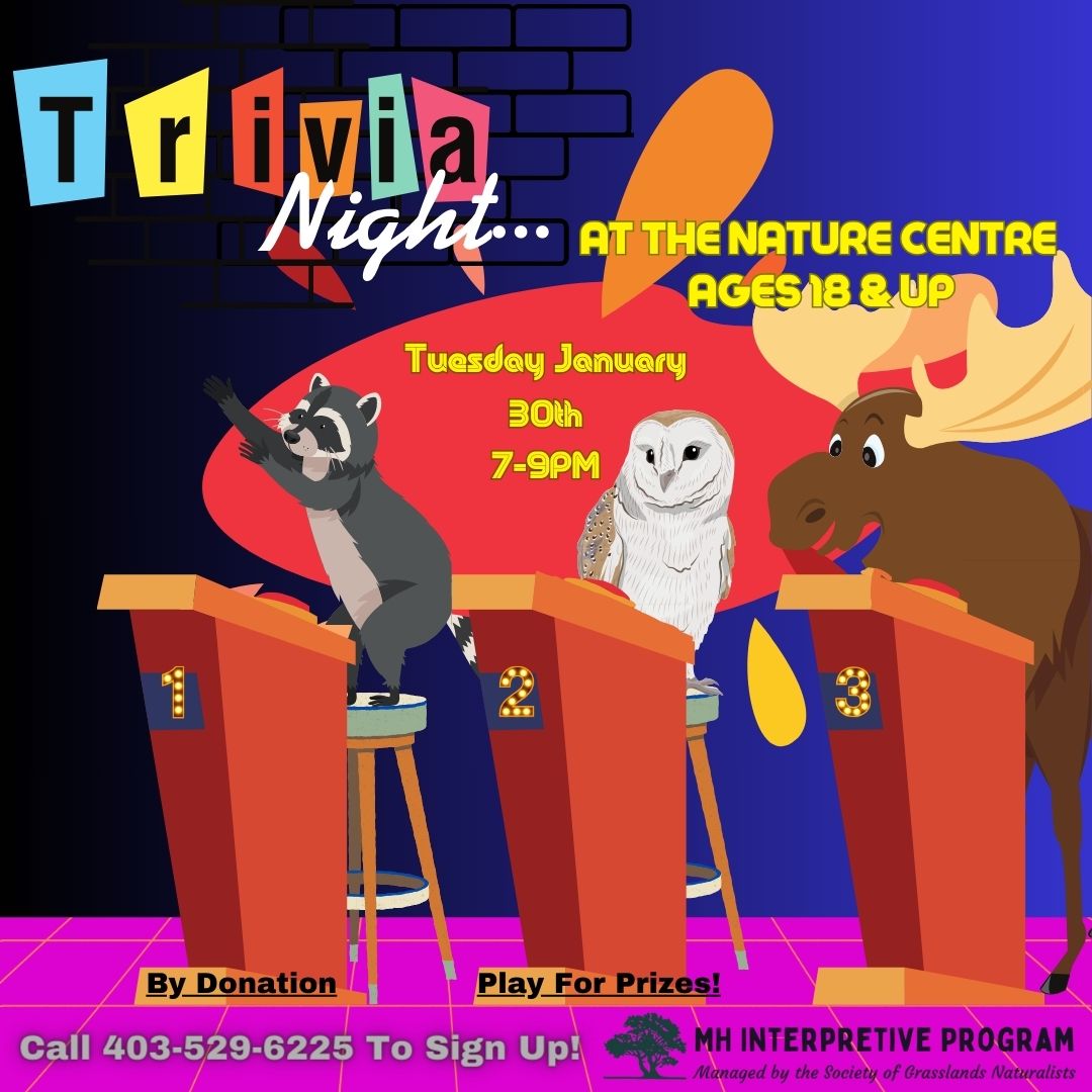 Trivia Night at Police Point Park