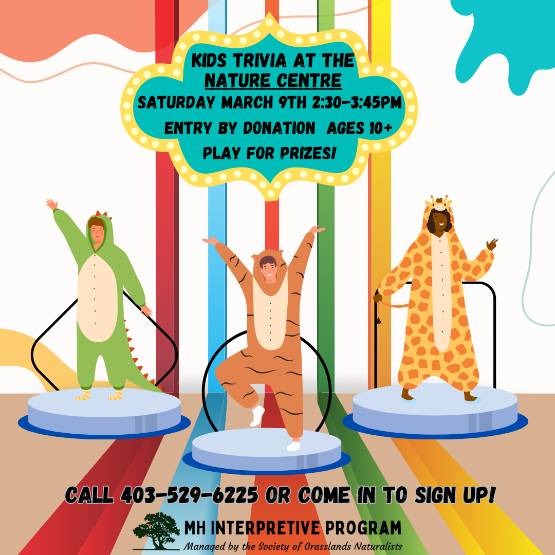 Kids Trivia At The Nature Centre