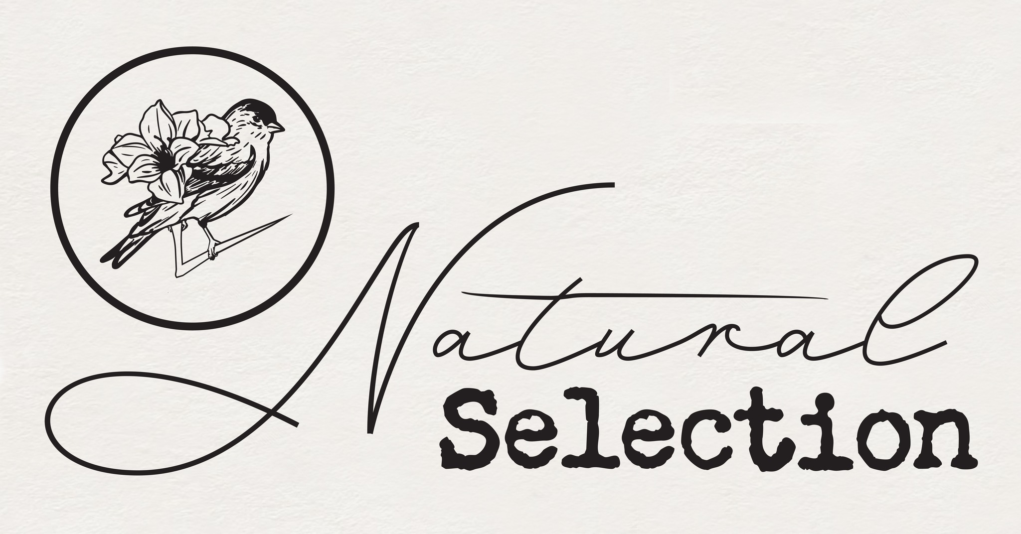 Natural Selection Art & Design Grad Show
