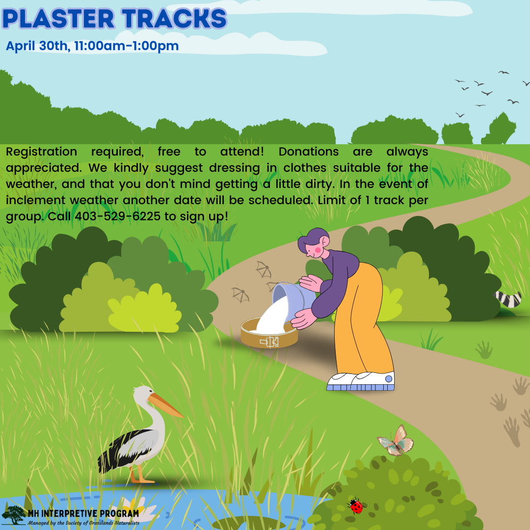 Plaster Tracks