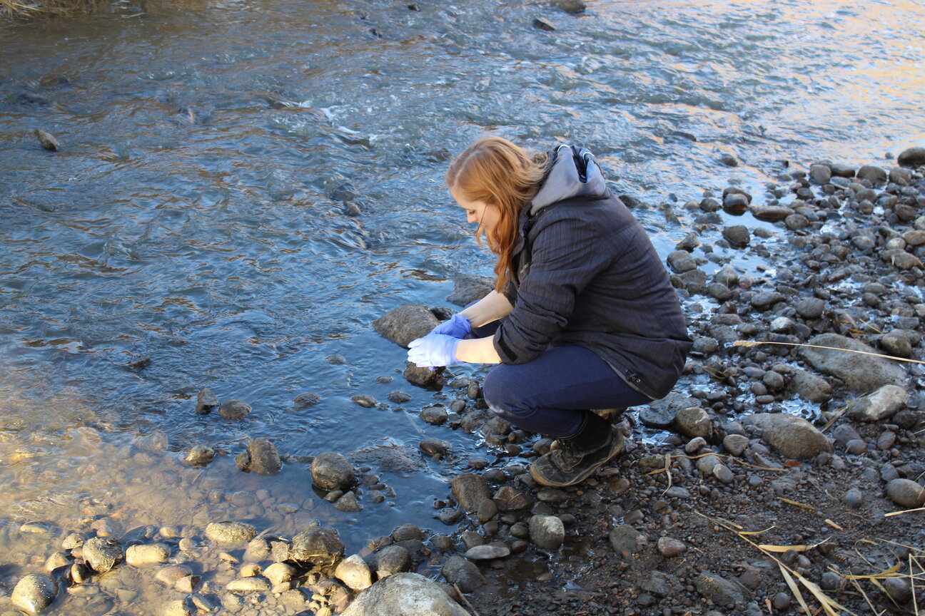 Family and Youth South Sask River Testing