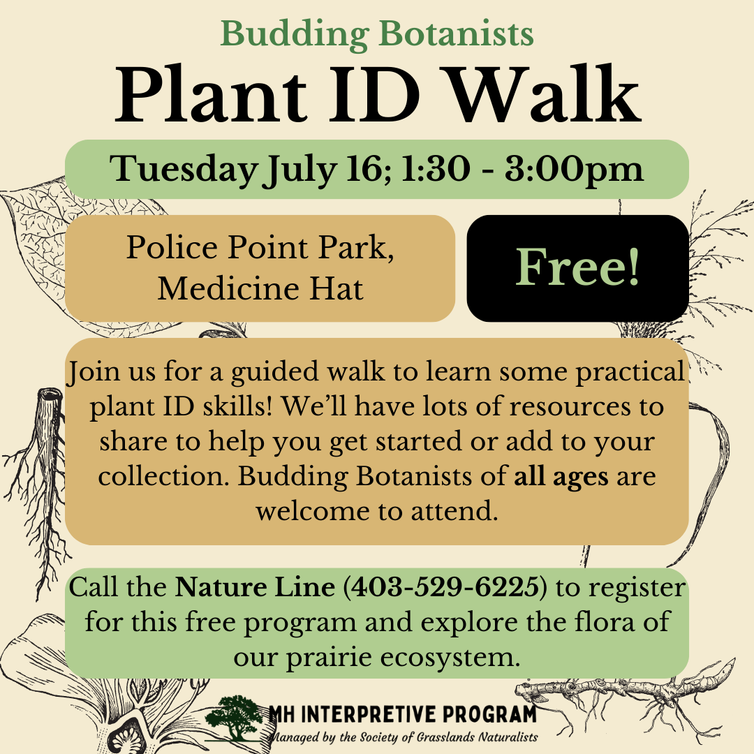 Budding Botanists Plant ID Walk