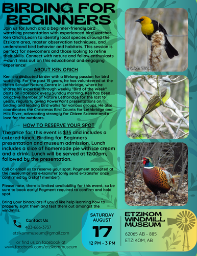 Birding for Beginners + Lunch