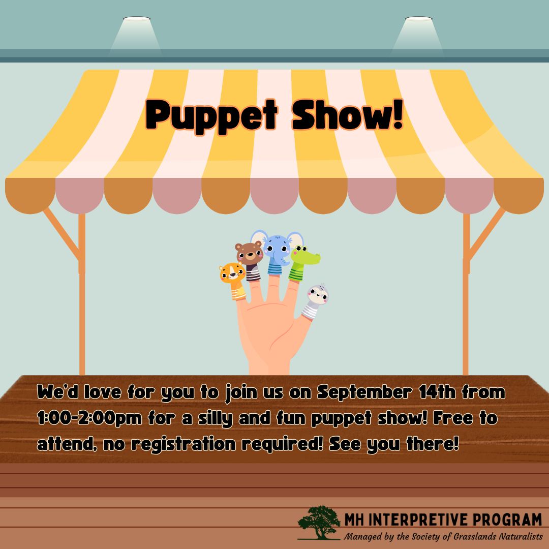Puppet Show