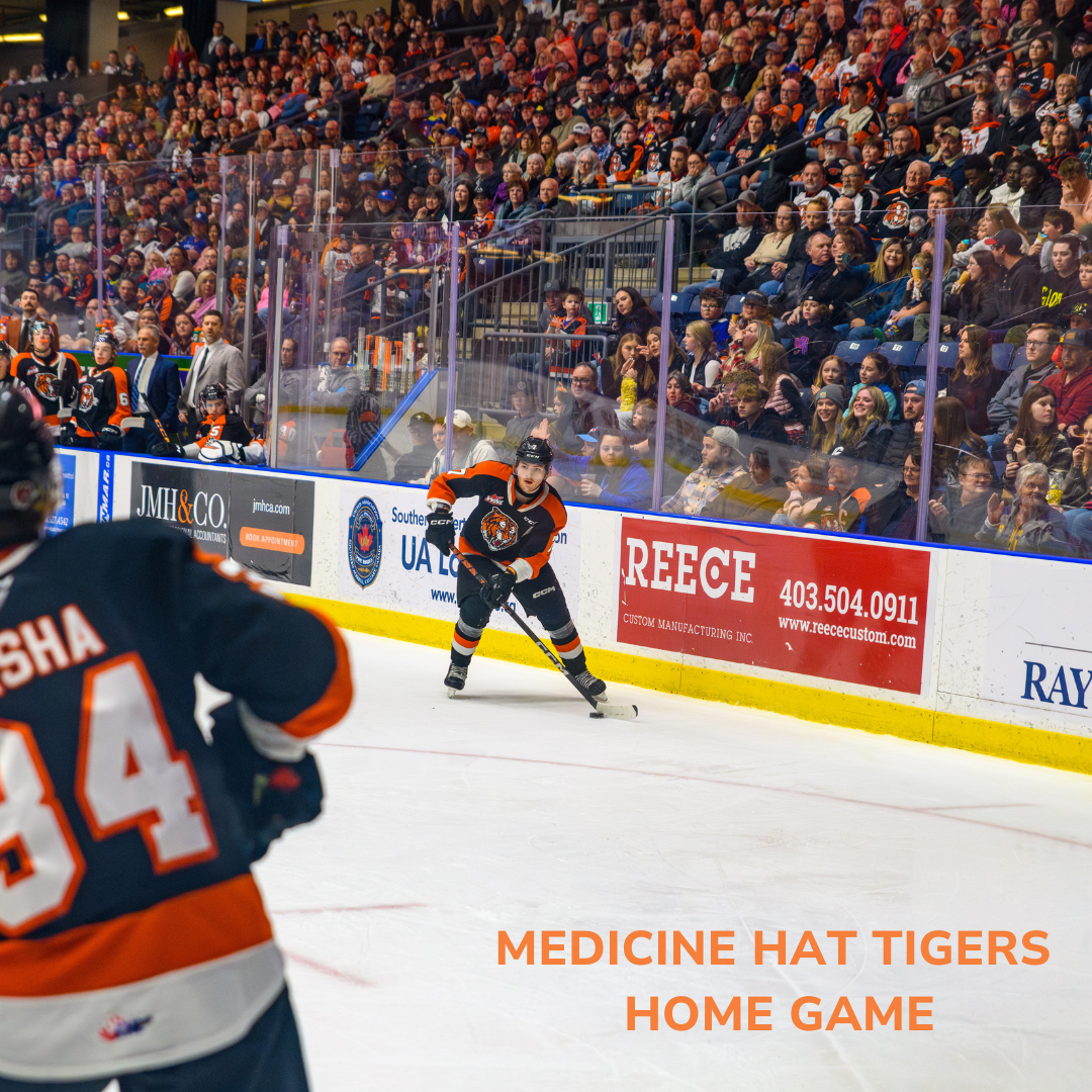 Medicine Hat Tigers Vs Moose Jaw Warriors 