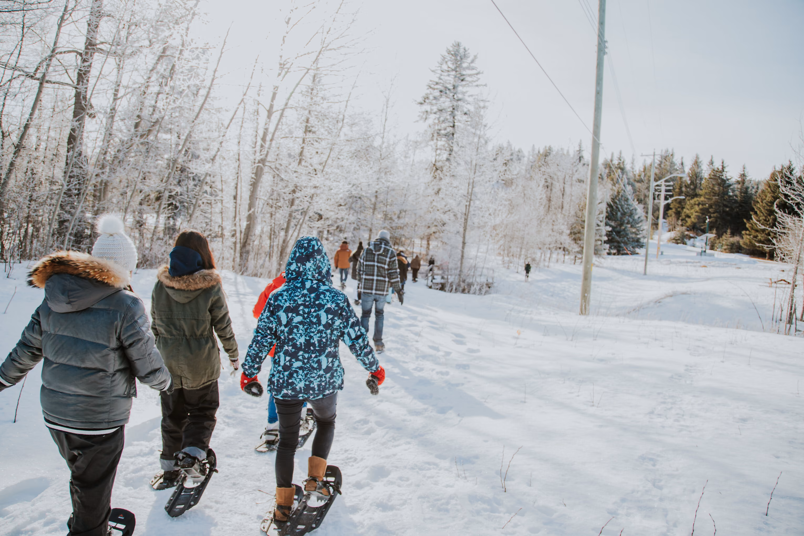 Holiday Festivities in Medicine Hat 