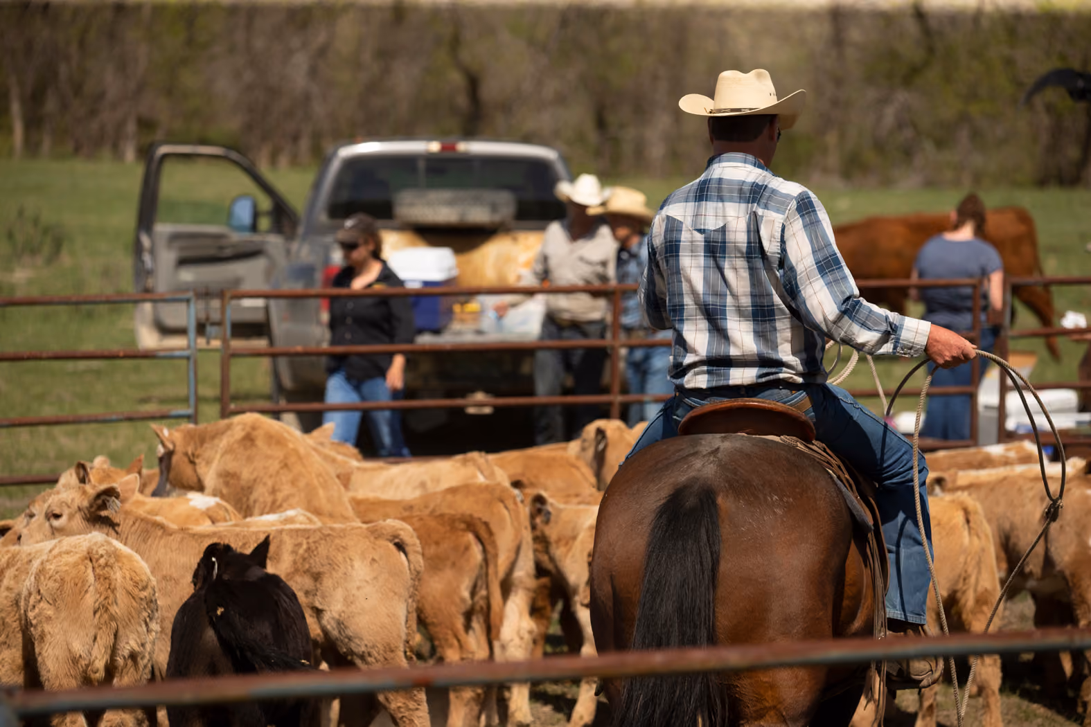 Cypress Farm and Ranch Show