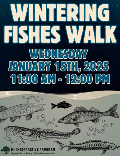 Wintering Fishes!
