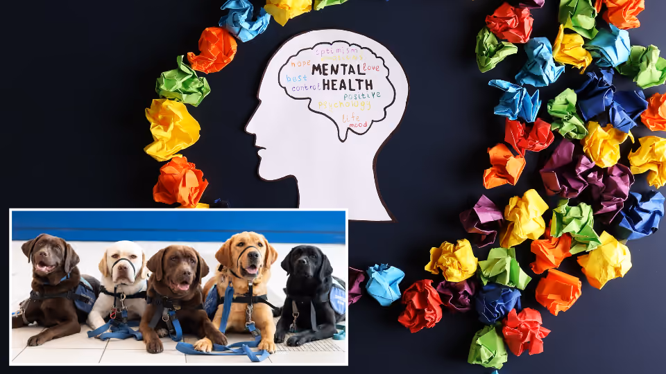 Youth Mental Health Day with Summit Service Dogs
