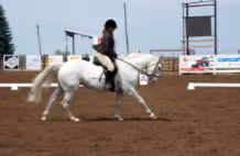 All Breed Horse Show 