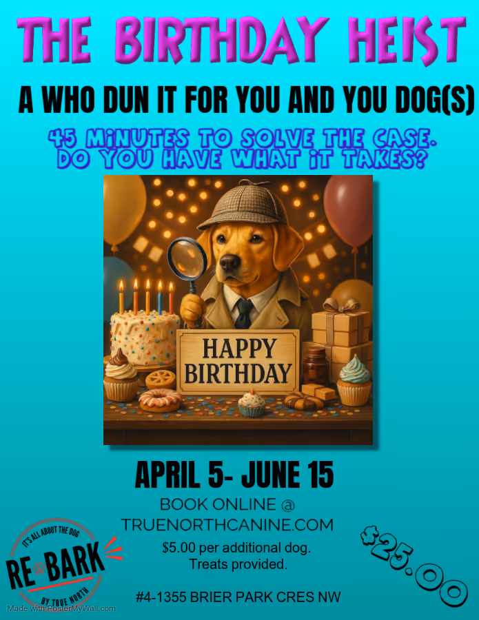 "THE BIRTHDAY HEIST"