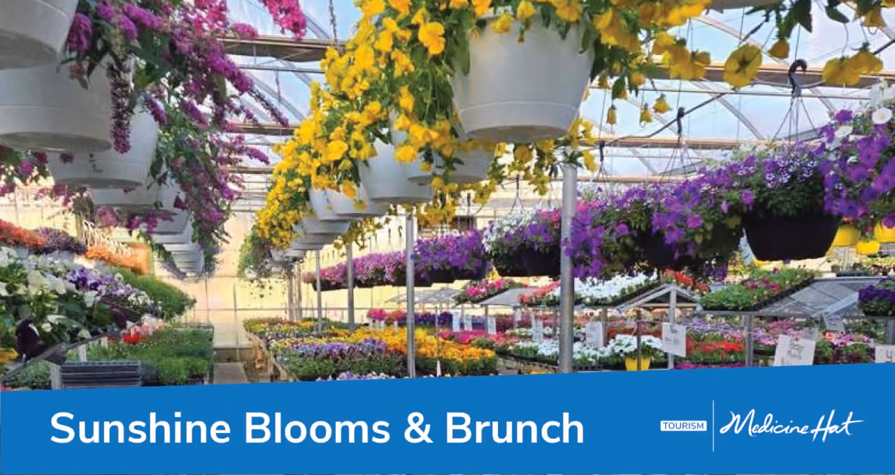Sunshine Blooms & Brunch