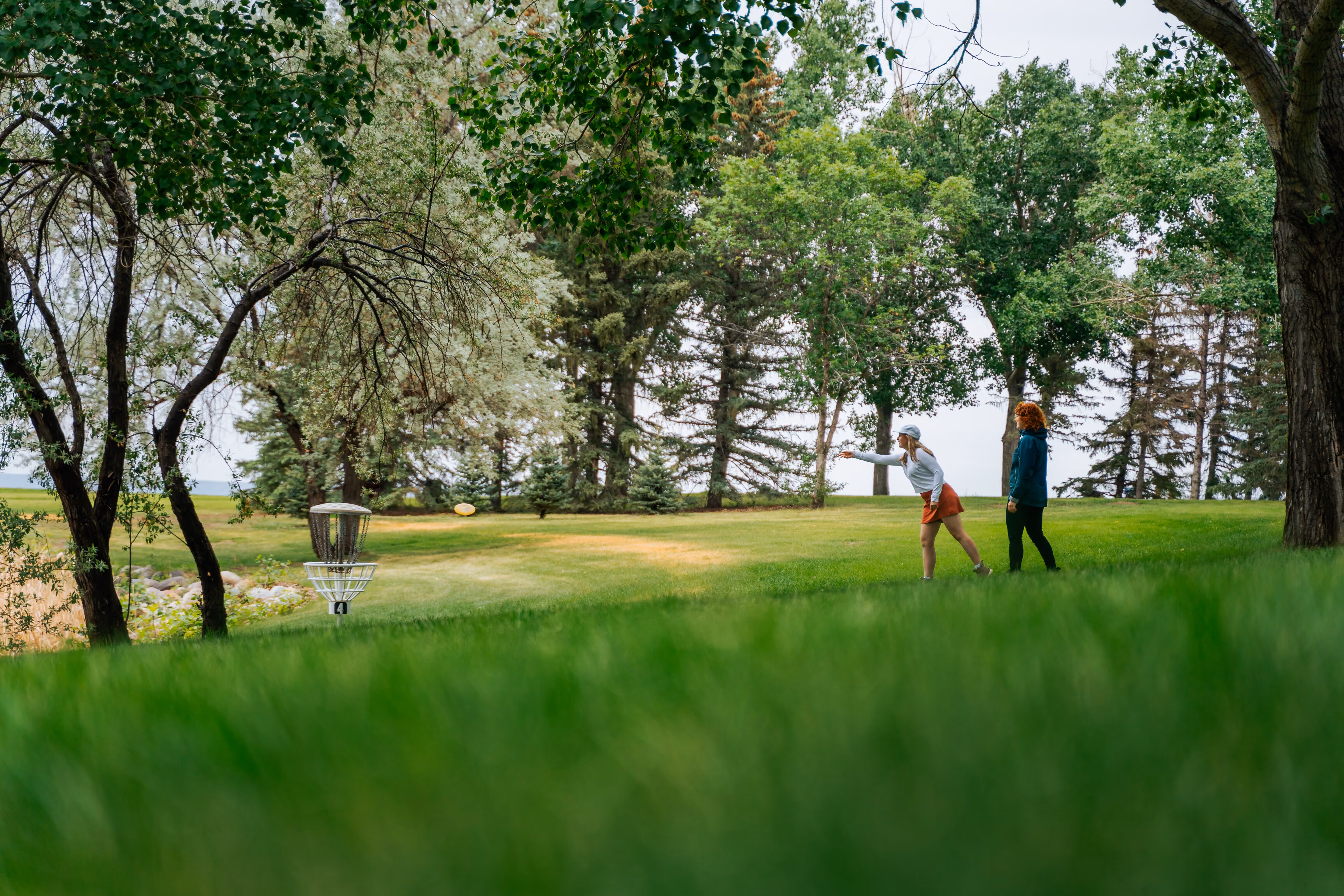 Medicine Hat Disc Golf