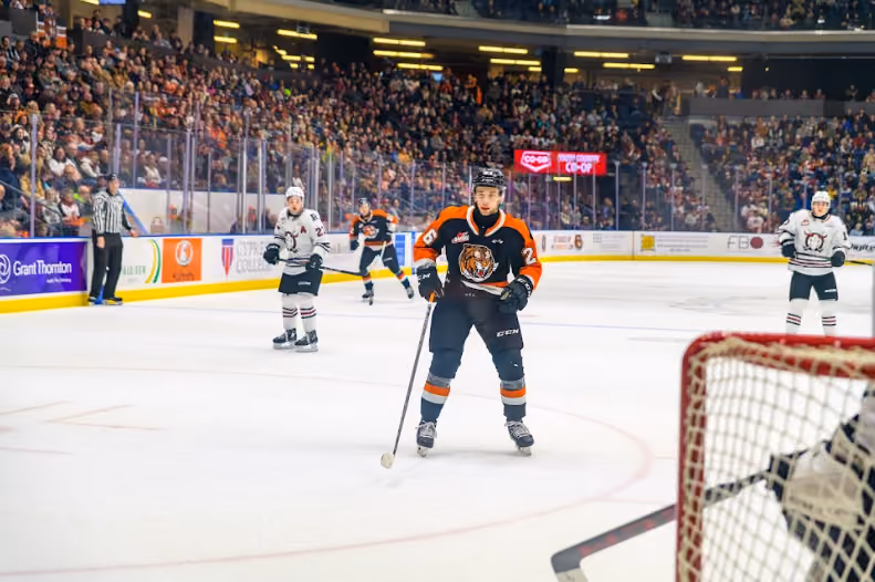 Medicine Hat Tigers vs Prince Albert Raiders. Game 7 (If Needed)