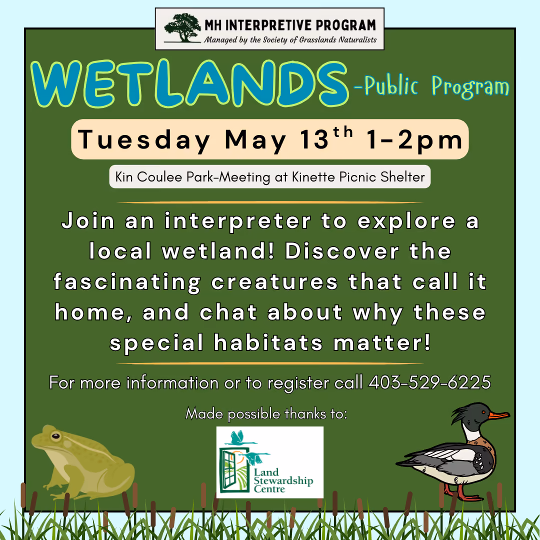 Wetlands (Public Program)
