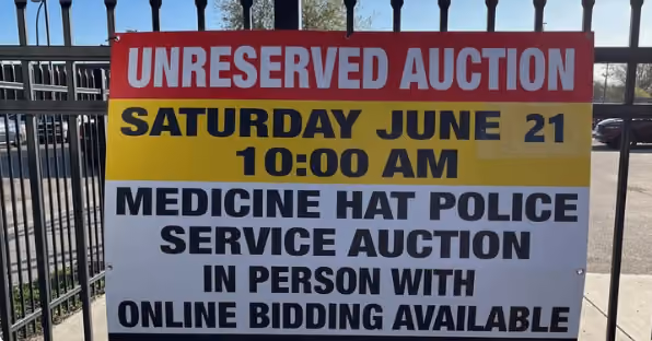 MHPS Auction 