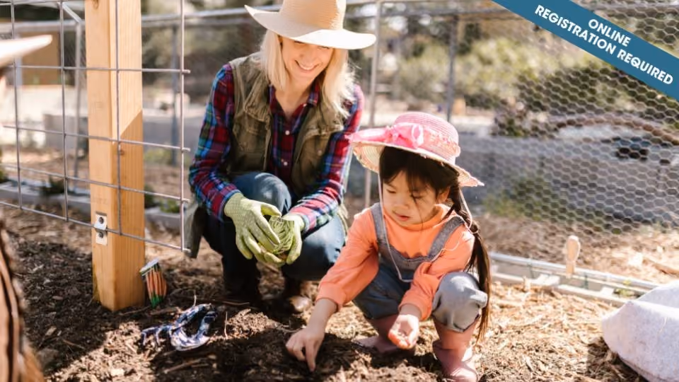 Seeds and Stories (Children)