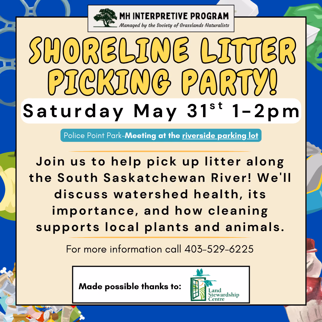 Shoreline Litter Picking Party