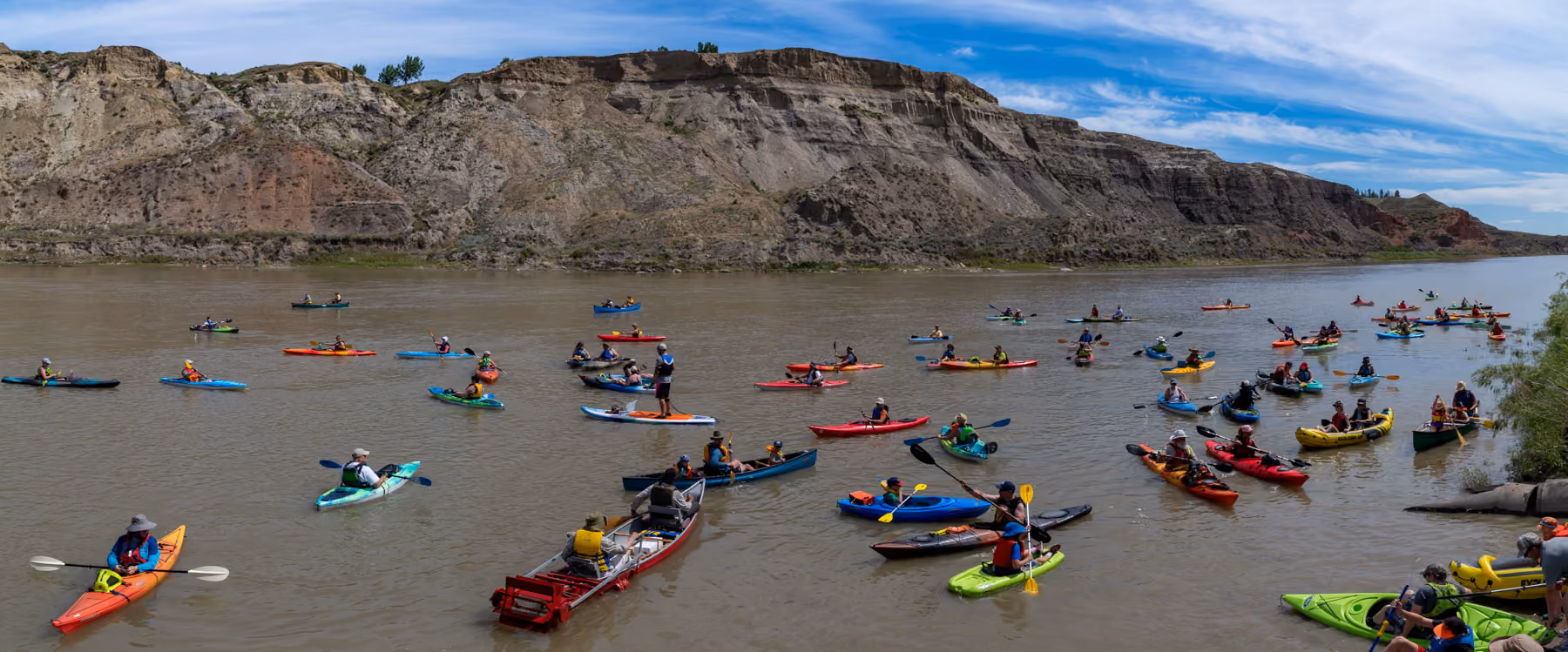 Great Big Paddle