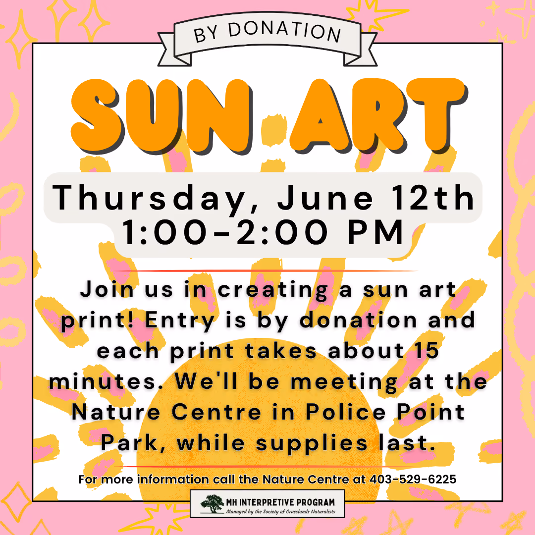 Sun Art