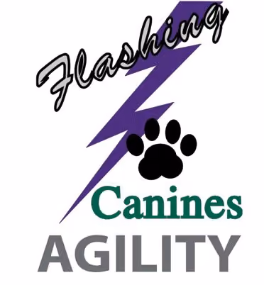Flashing Canines Agility Club