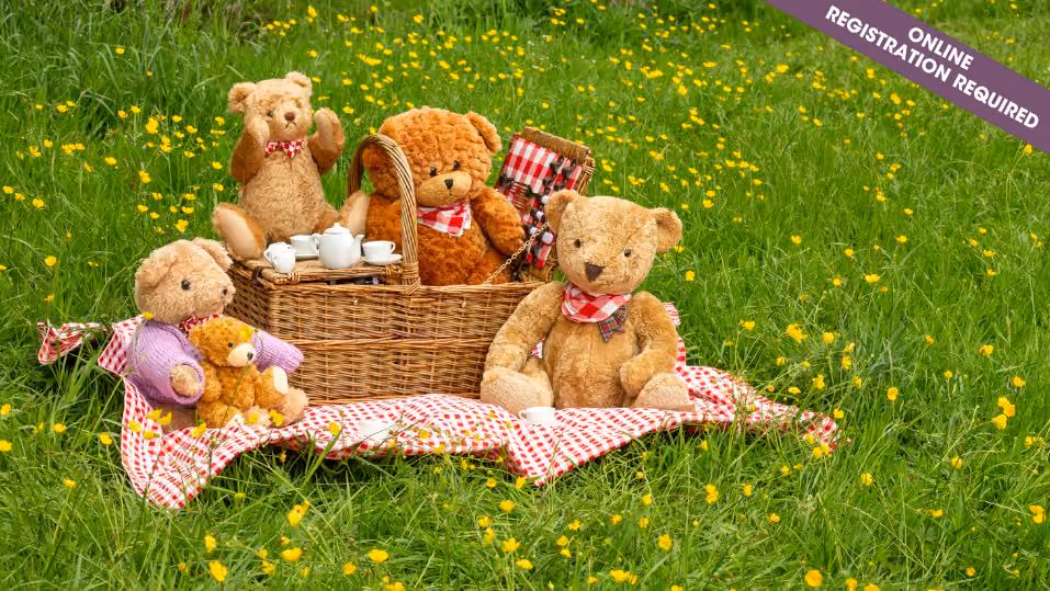 Teddy Bear Picnic Storycraft (ages 4-6) I June 14