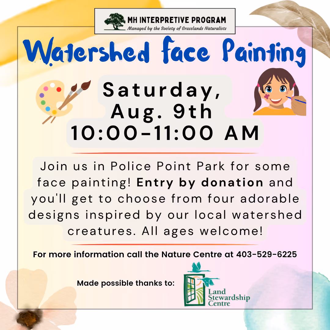 Watershed Face Painting