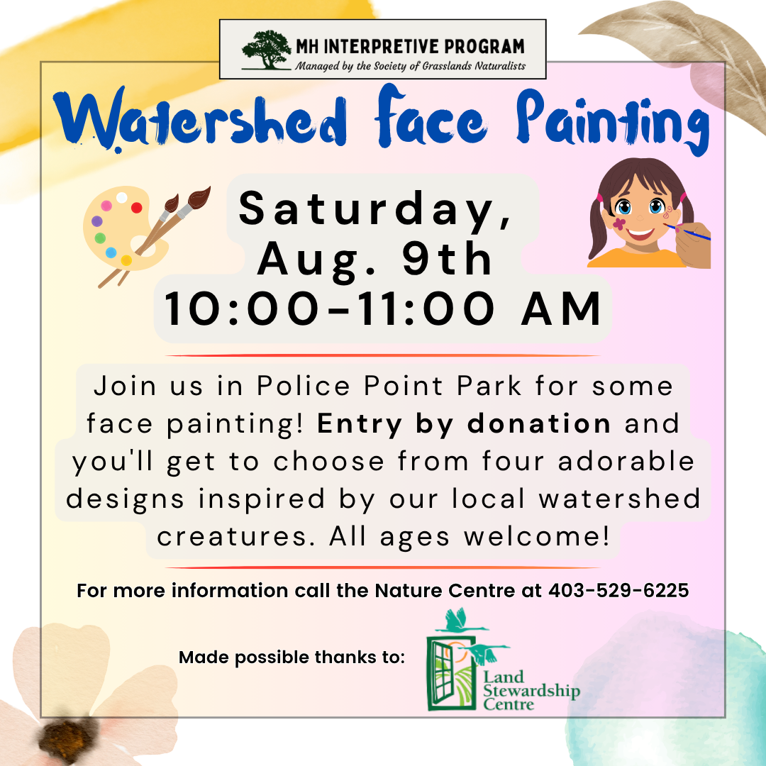 Watershed Face Painting