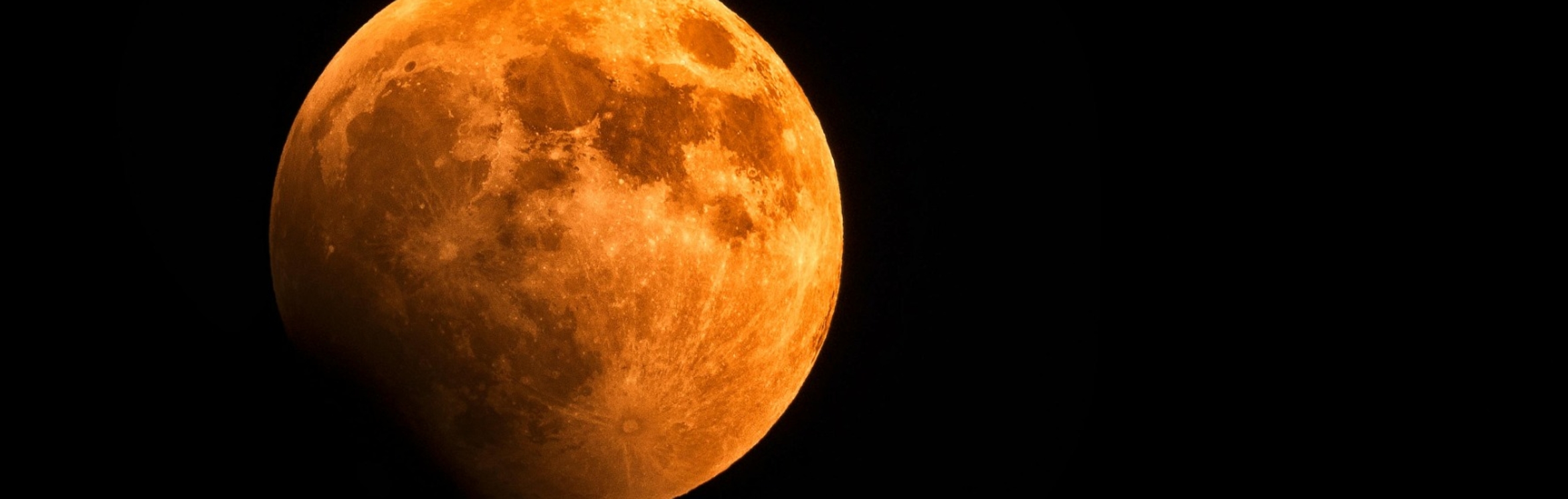 A Taste of Paradise & The Beaver Moon