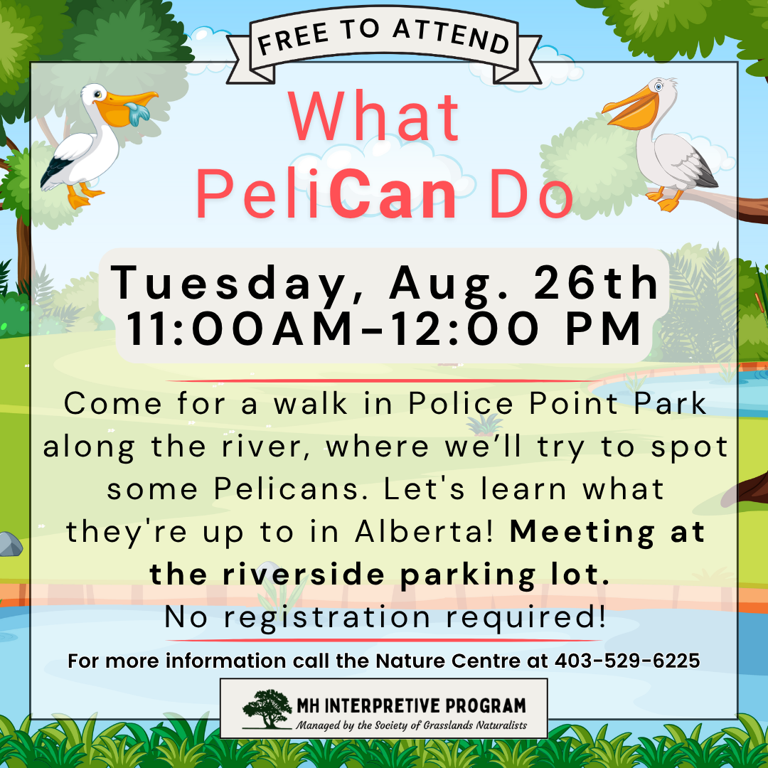 What PeliCan Do-Nature Walk