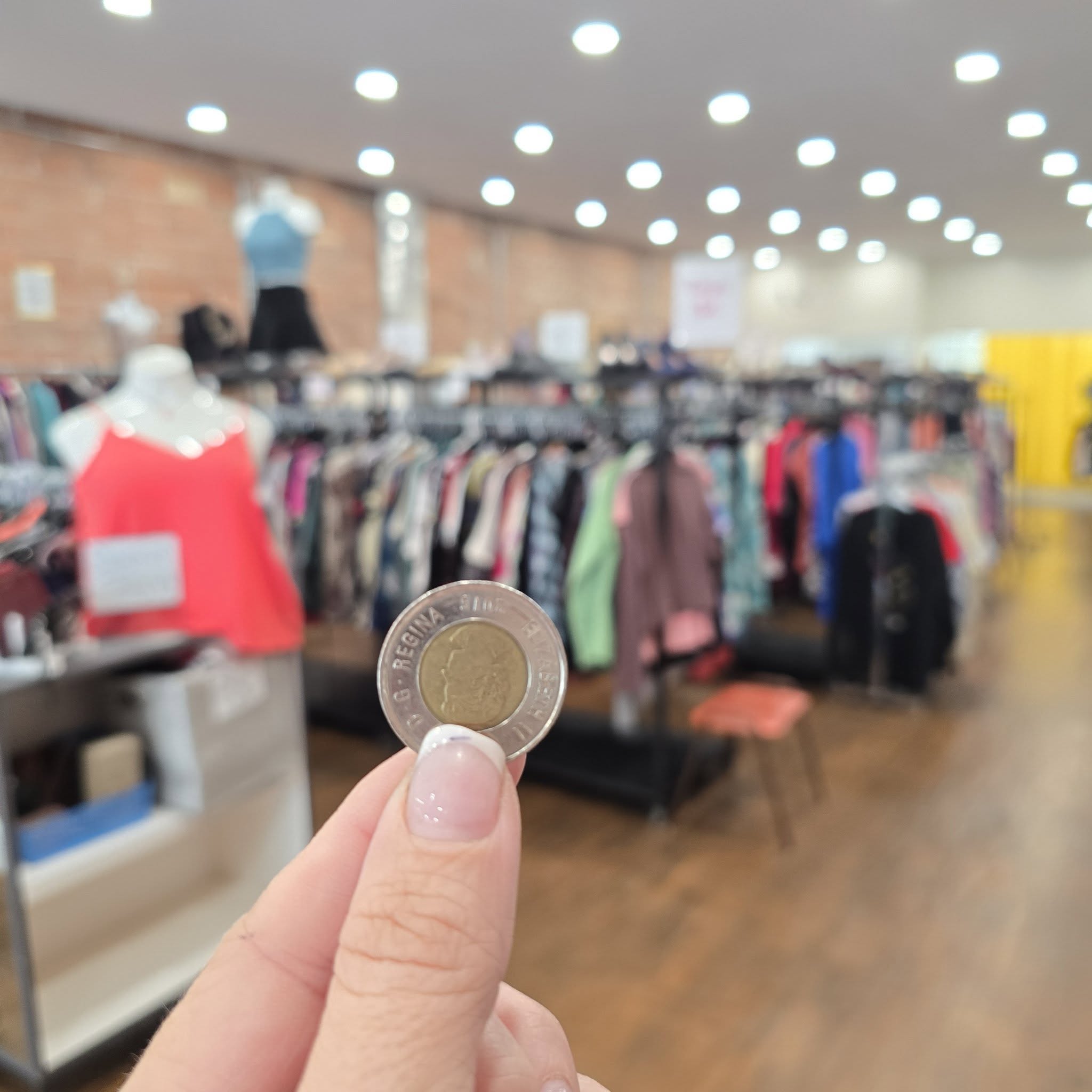 Downtown Days Toonie Sale