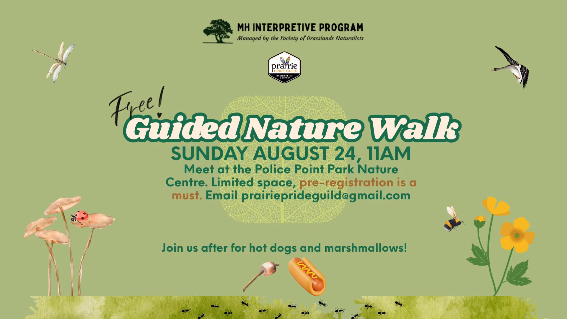 Free Guided Nature Walk and Hot Dog Roast