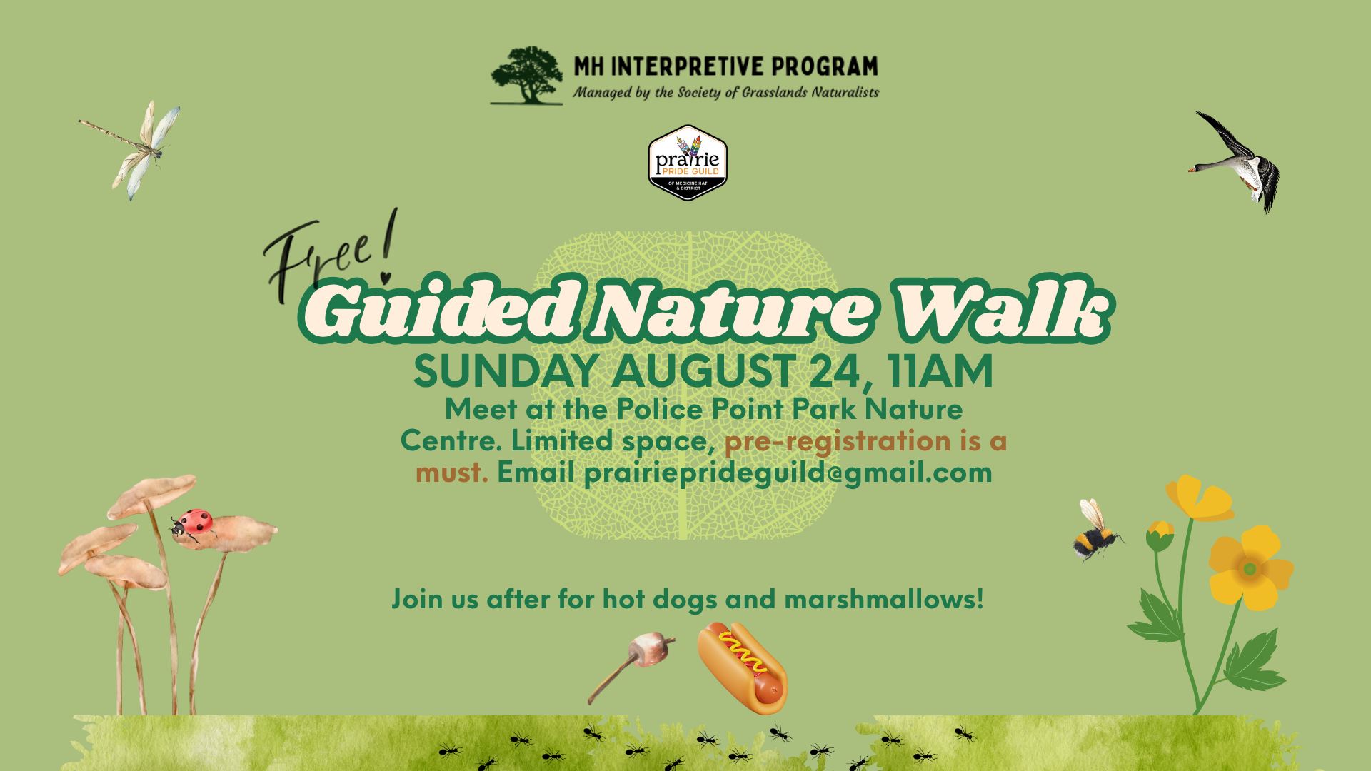 Free Guided Nature Walk and Hot Dog Roast