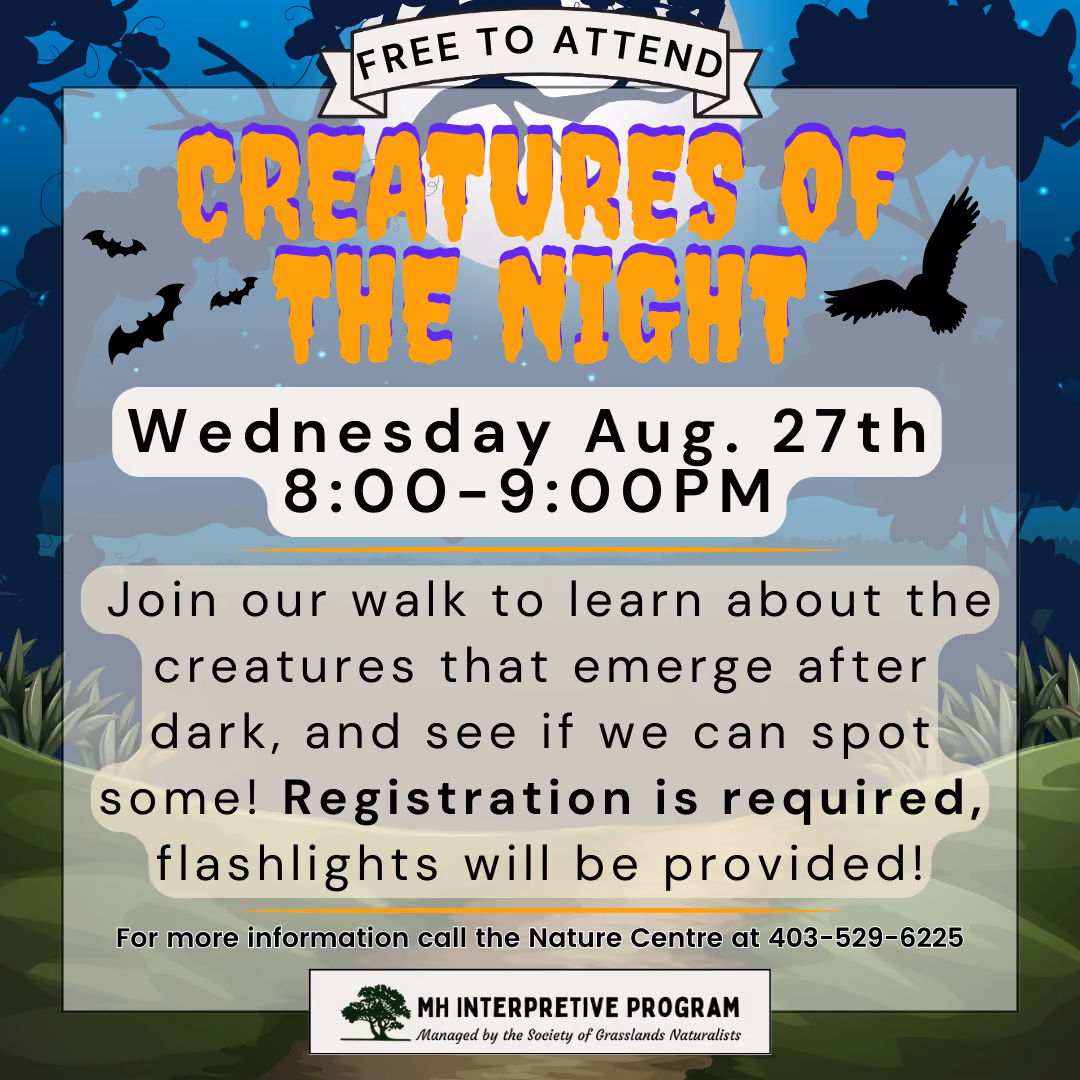 Creatures Of The Night-Nature Walk