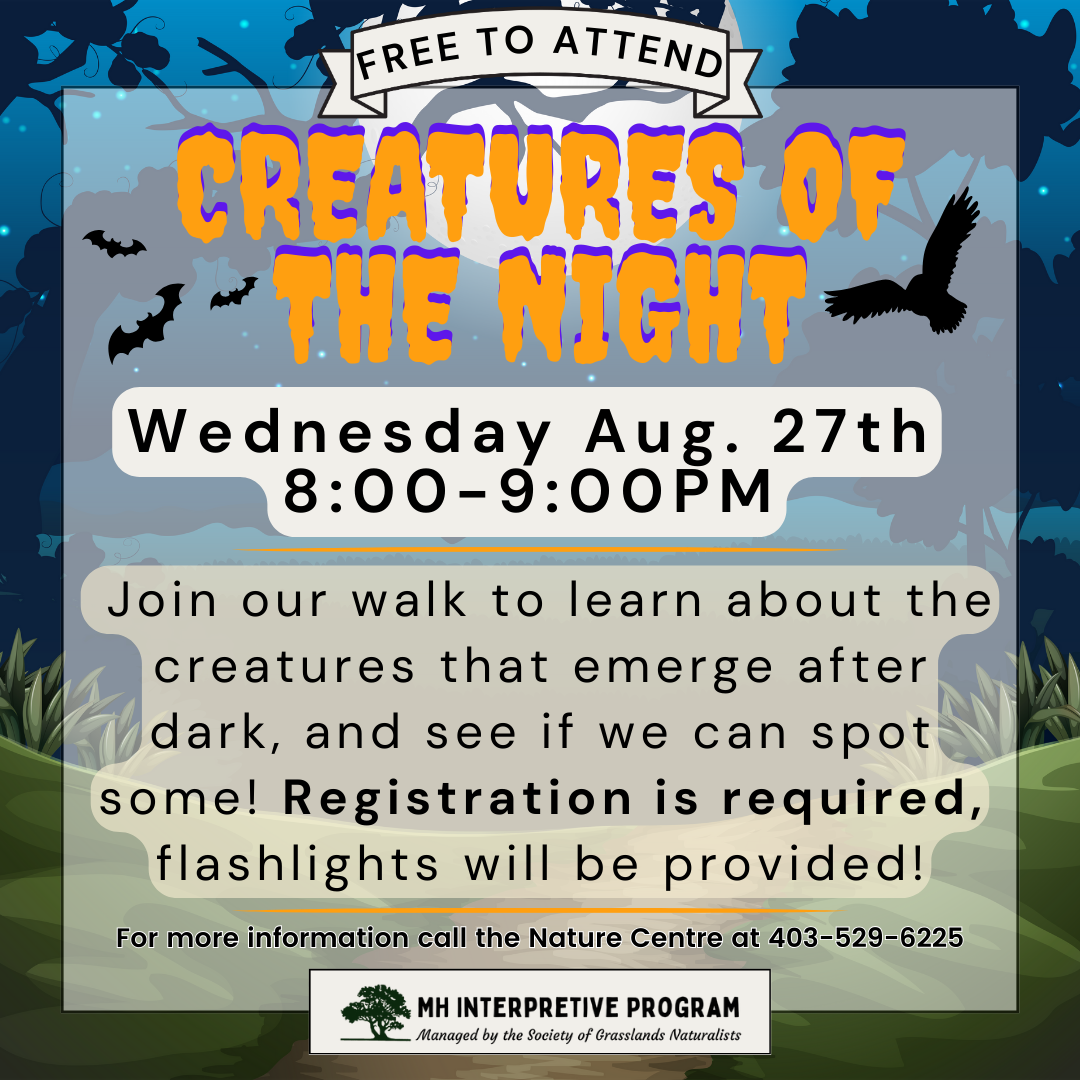 Creatures Of The Night-Nature Walk