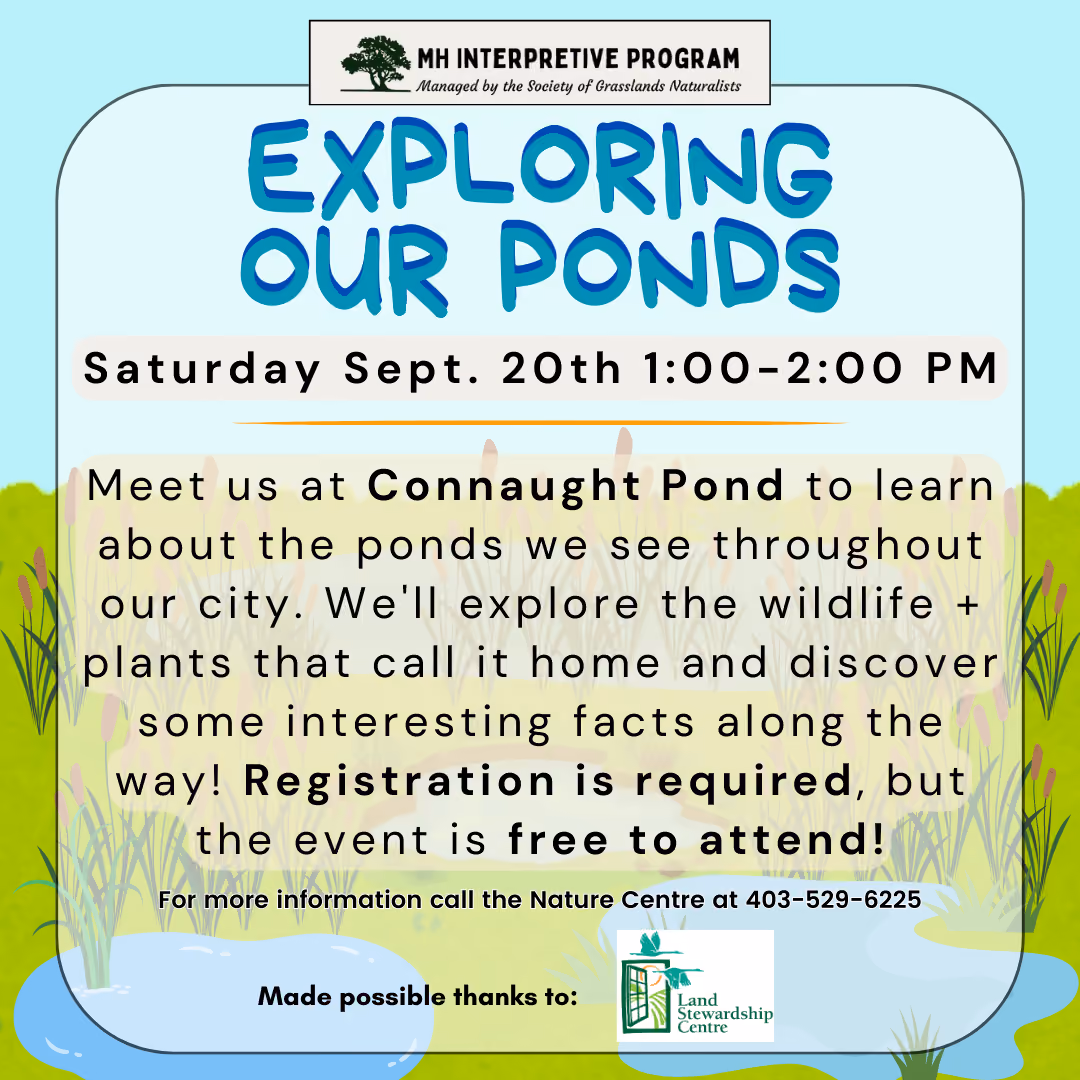 Exploring Our Ponds