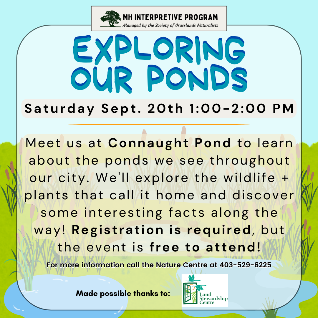 Exploring Our Ponds