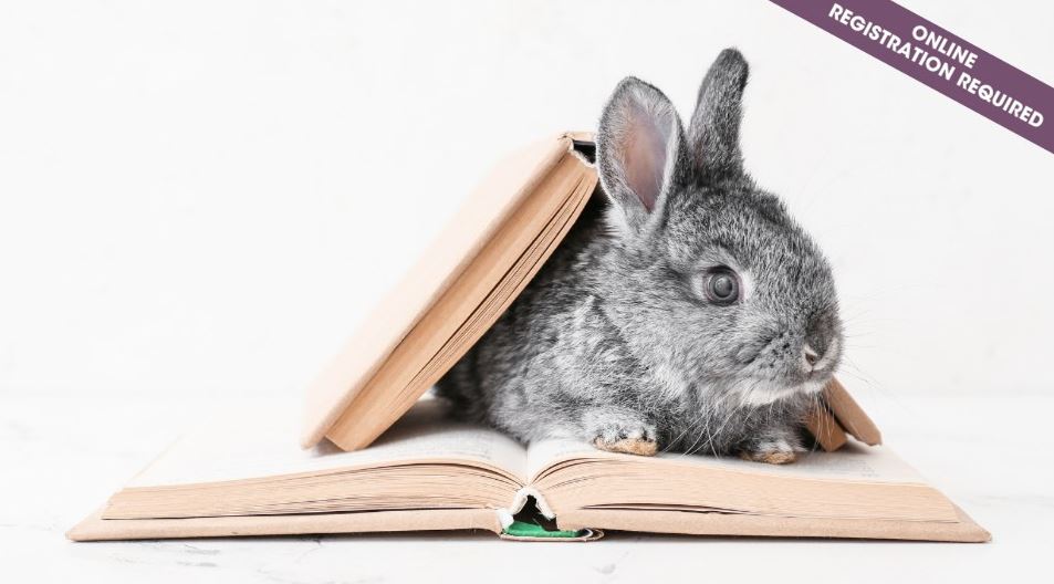 Reading With Rabbits I Sept. 27 (ages 4-6)